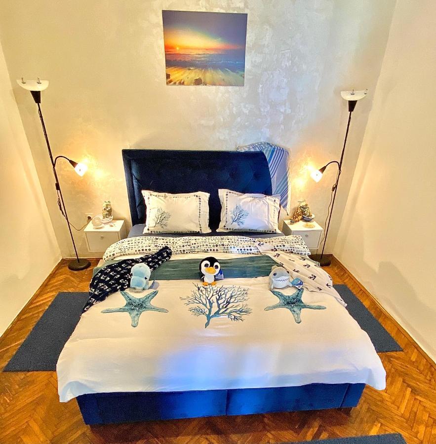 Apartmani Maxim كوتور المظهر الخارجي الصورة